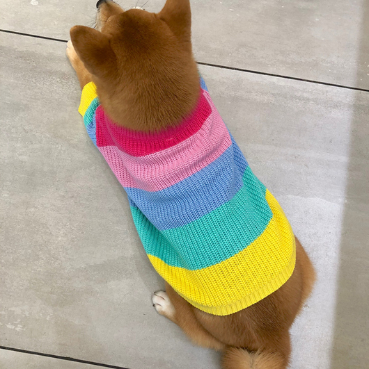 Suéter Arcoíris para Perros Pequeños y Cachorros - Image 10