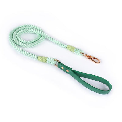 Juego de Collar y Correa para Perros Medianos y Grandes en Cuero y Algodón Tejido - Image 11