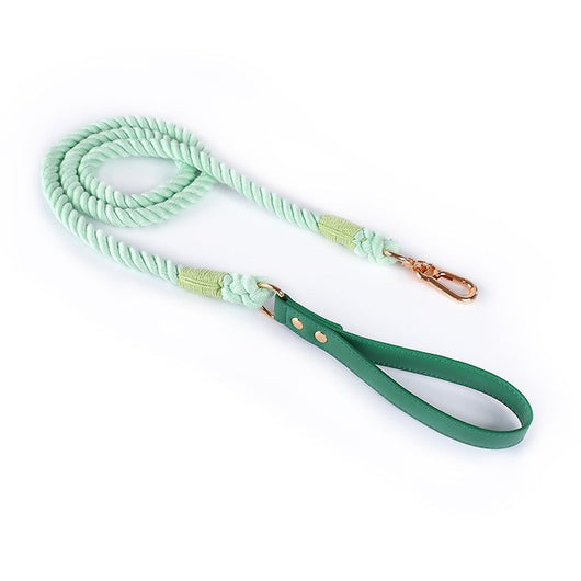 Juego de Collar y Correa para Perros Medianos y Grandes en Cuero y Algodón Tejido - Image 11
