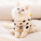 Ropa Antiestática para Gatos - Diseño Adorable sin Pelusa