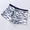 Zebra pattern