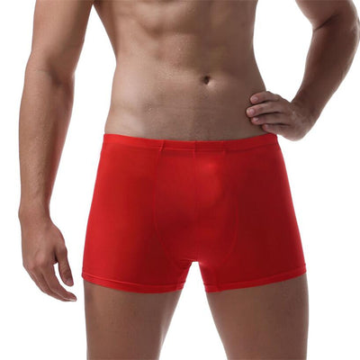 Calzoncillos Ice Silk Transparentes con Elástico Cómodo para Hombre - Image 8