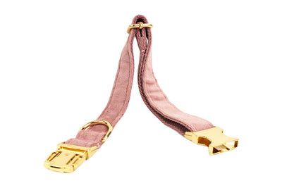 Collar para Perro Morado Claro con Cuerda Ajustable - Image 24