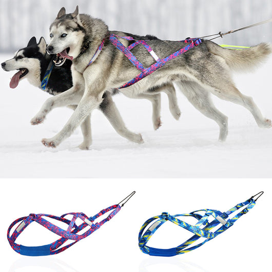 Arnés de Pecho para Perros de Trineo con Cuerda de Sujeción Manual