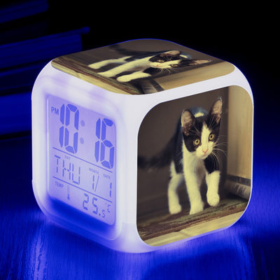 Reloj Despertador Cuadrado Multicolor para Gatos - Image 10