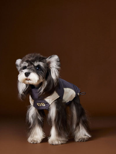 Ropa de Otoño para Perros Pequeños - Abrigos para Schnauzer, Teddy y York - Image 15