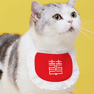Babero Collar Toalla Saliva para Gatos - Accesorios Felinos Adorables - Image 17