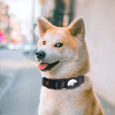 Rastreador GPS para Mascotas con Protector Móvil