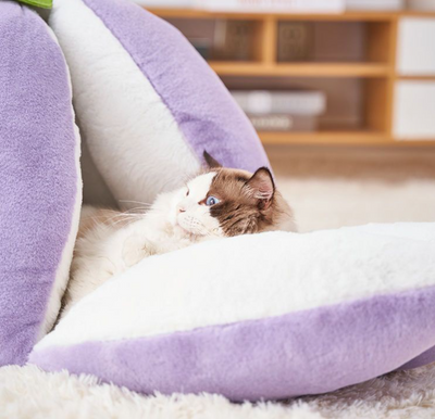 Cama Nido Semicerrada para Gatos - Refugio Cálido - Image 10