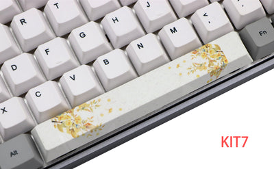 Keycap Mecánico PBT Sublimado de 5 Caras 6.25U - Image 5