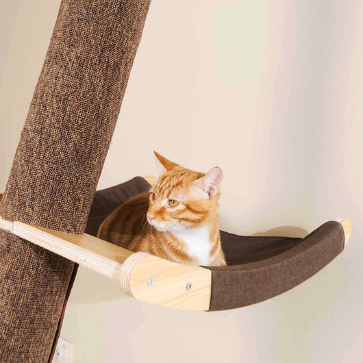 Árbol Rascador de Madera Maciza para Gatos con Bandeja y Estantes - Image 27