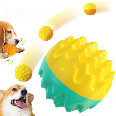 Pelota Masticable Entrenadora con Sonido para Mascotas - Image 5