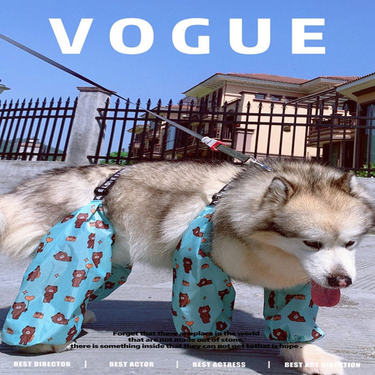 Impermeable Ajustable para Perros de Cuatro Patas - Image 12