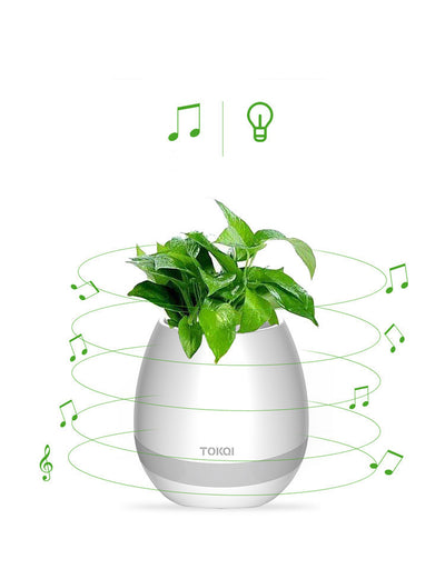 Florero Musical Táctil con Altavoz Integrado - Image 14