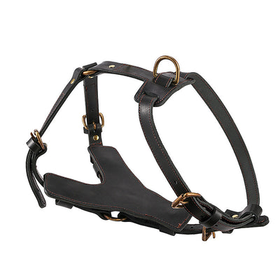 Arnés de Pecho con Cuerda Automática para Perros - Set Completo de Tracción - Image 5