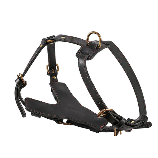 Arnés de Pecho con Cuerda Automática para Perros - Set Completo de Tracción - Image 5