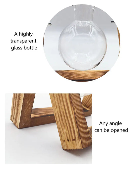 Maceta Hidropónica de Vidrio con Soporte de Madera Colgante - Image 14