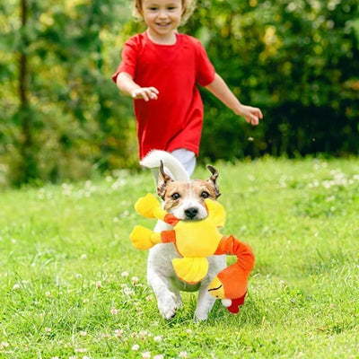 Juguete Interactivo para Perros con Sonido de Pollo - Resistente y Masticable - Image 18