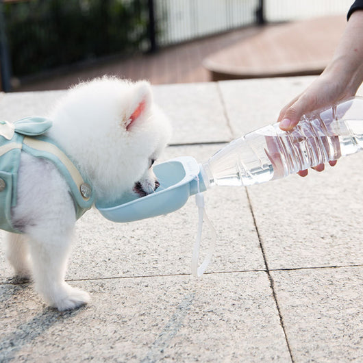 Botella Portátil Teddy para Agua Potable