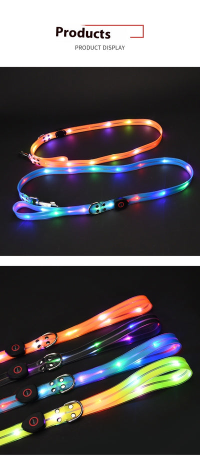 Correa LED Luminosa para Mascotas - Collar con Luz Emisora - Image 20