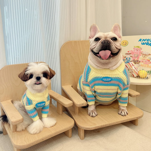 Suéter de Invierno para Perros Pequeños - Abrigo Cálido para Razas Toy - Image 13
