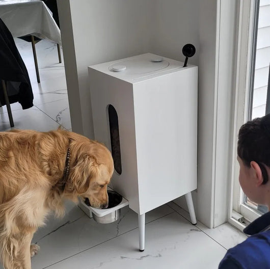 Comedero de Madera para Mascotas Gran Capacidad