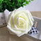 Blanco Lechoso 1 Pieza