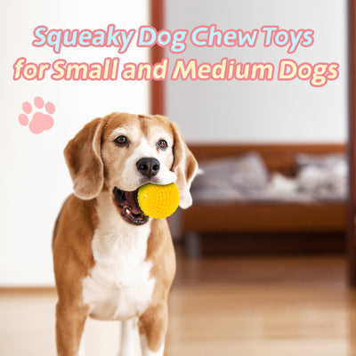 Juguete Masticable Indestructible para Perros Medianos y Grandes - Image 19