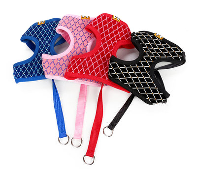 Correa Universal para Perros y Gatos - Image 9