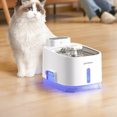 Fuente de Agua Automática para Gatos con Circulación Continua
