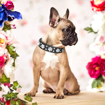 Collar de Cuero PU para Perros Pequeños y Medianos con Flores de Diamantes - Image 3