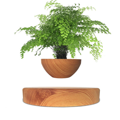 Maceta Flotante Magnética - Adorno Decorativo Moderno para Escritorio - Image 6
