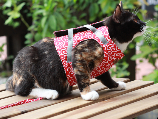 Cuerda de Paseo para Gatos - Image 19