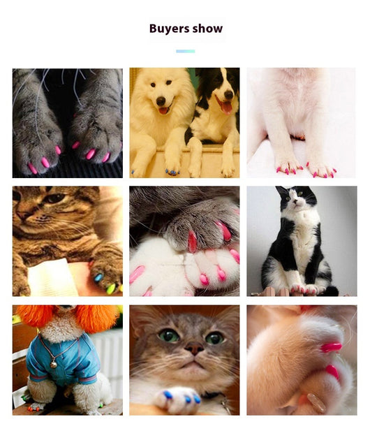 Protector de Uñas para Gatos - Cubiertas de Seguridad - Image 45