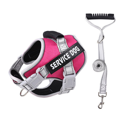 Arnés Pectoral Antiexplosión para Perros con Correa de Seguridad - Image 13