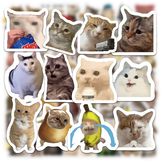 110 cute and funny cat stickers featuring various breeds and humorous poses, perfect for decorating laptops, water bottles, and journals. - Image 3