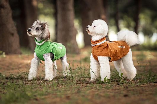 Poncho Impermeable Reflectante para Perros - Protección Total en Lluvia y Viento - Image 12