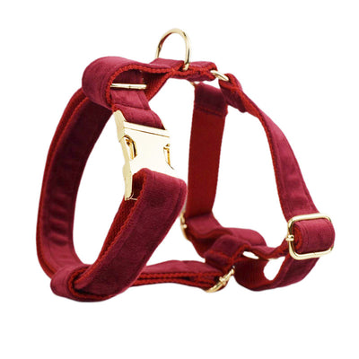 Collar de Tela Terciopelo para Perro - Image 17