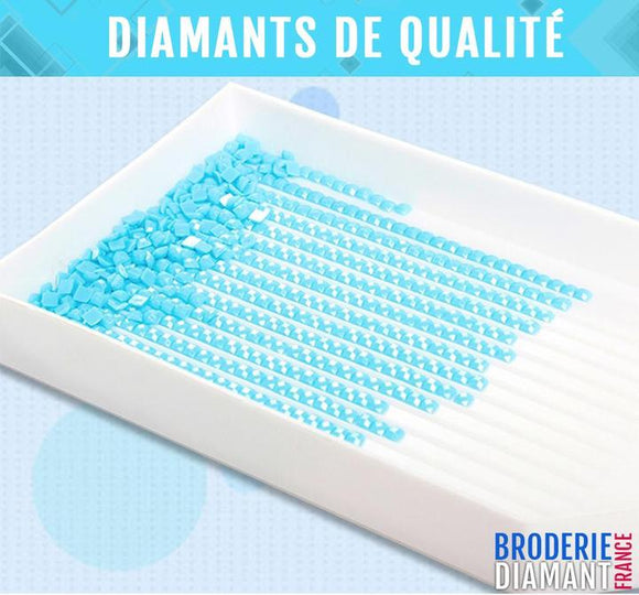 Pintura de Diamantes Siete Lobos Aullando a la Luna - DIY Punto de Cruz