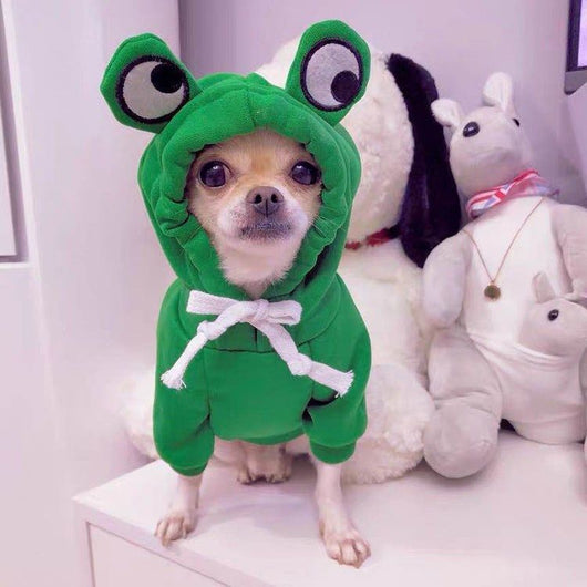Sudadera con Capucha para Perros Pequeños - Abrigo Polar Verde Otoño Invierno - Image 15