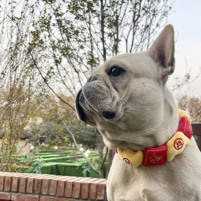 Pañoleta Bandana Ajustable para Perros Medianos y Grandes - Corgi y Mascotas - Image 16