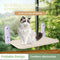 Hamaca para Gatos con Ventosas - Cómoda y Lavable