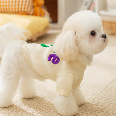 Suéter Tejido para Perros Pequeños con Bordado de Letras - Abrigo Cálido Colorido para Mascotas - Image 8
