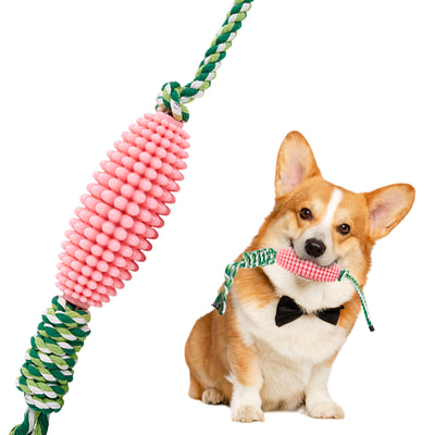Juguete Masticable Dental para Cachorros - Limpieza de Dientes e Interactivo