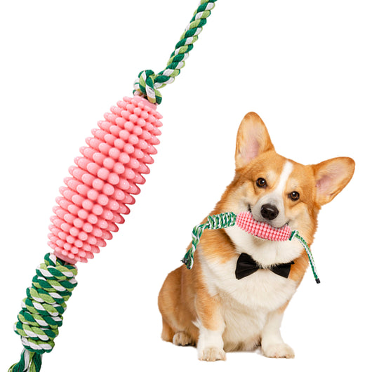 Juguete Masticable Dental para Cachorros - Limpieza de Dientes e Interactivo