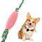 Juguete Masticable Dental para Cachorros - Limpieza de Dientes e Interactivo