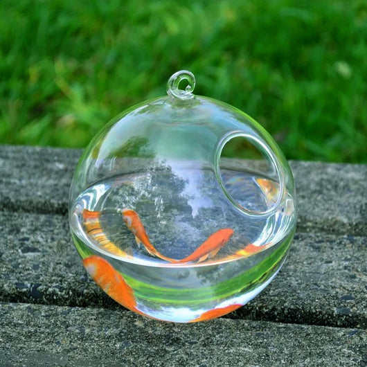 Florero Colgante de Cristal con Acuario - Image 2