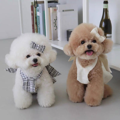 Falda Cabestrillo para Perros - Ropa Cómoda y Elegante - Image 9