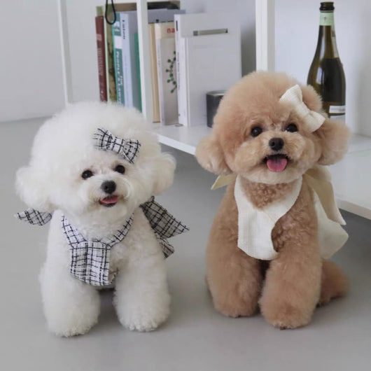 Falda Cabestrillo para Perros - Ropa Cómoda y Elegante - Image 9