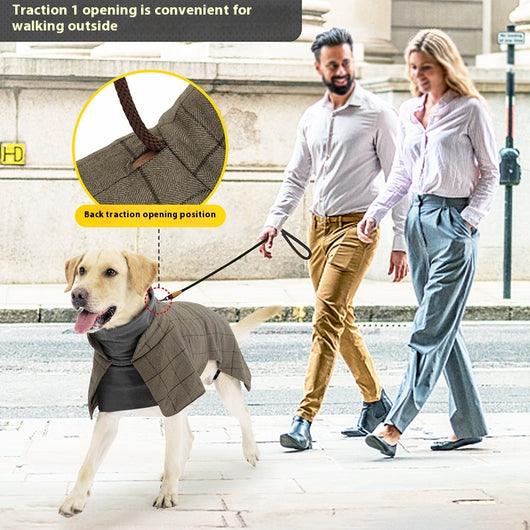 Abrigo Clásico Británico para Perros - Chaleco Térmico Impermeable - Image 4
